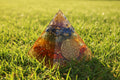 Orgonit Pyramide 7 Chakren